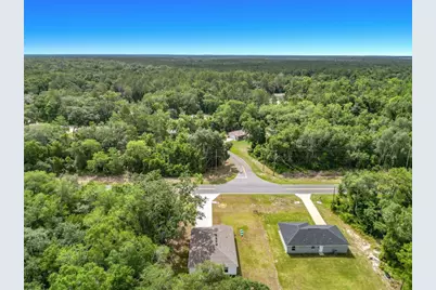 50 Bay Road, Ocklawaha, FL 32179 - Photo 3