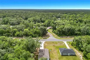 50 Bay Rd, Ocklawaha, FL 32179 - Photo 3