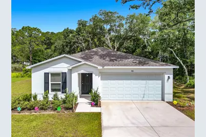 50 Bay Road, Ocklawaha, FL 32179 - Photo 13