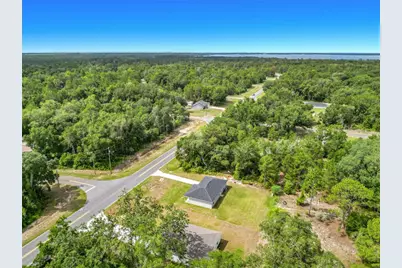 50 Bay Road, Ocklawaha, FL 32179 - Photo 49