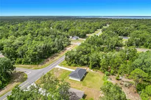 50 Bay Rd, Ocklawaha, FL 32179 - Photo 49