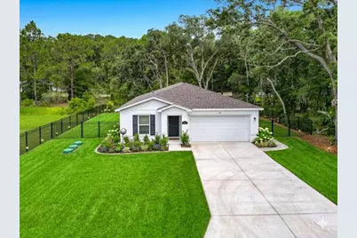 50 Bay Road, Ocklawaha, FL 32179 - Photo 1