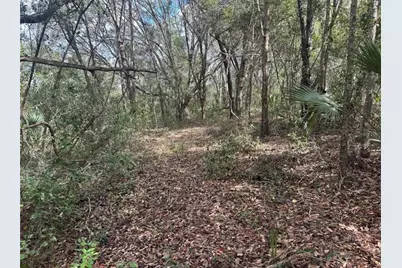 0 South Lake Hiawatha Drive, Lady Lake, FL 32159 - Photo 3