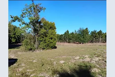 0 South Lake Hiawatha Drive, Lady Lake, FL 32159 - Photo 15