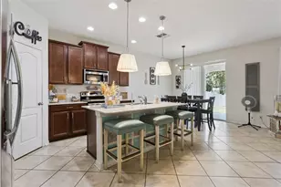 2514 Plumadore Dr, Grand Island, FL 32735 - Photo 11