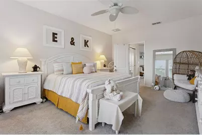 2514 Plumadore Drive, Grand Island, FL 32735 - Photo 19