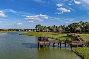9534 SW 65th Pl, Ocala, FL 34481 - Photo 51