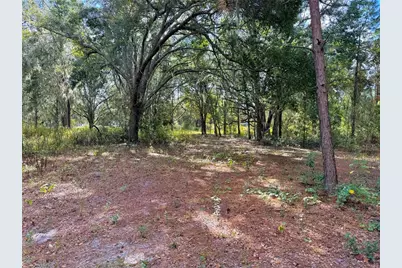 Bonsmara Drive, Groveland, FL 34736 - Photo 7