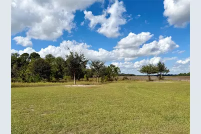 Bonsmara Drive, Groveland, FL 34736 - Photo 15