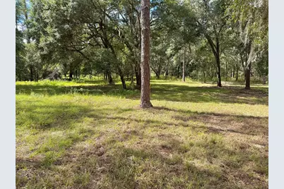 Bonsmara Drive, Groveland, FL 34736 - Photo 3