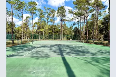 Bonsmara Drive, Groveland, FL 34736 - Photo 11