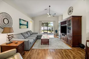 31113 Stone Arch Ave, Wesley Chapel, FL 33545 - Photo 19