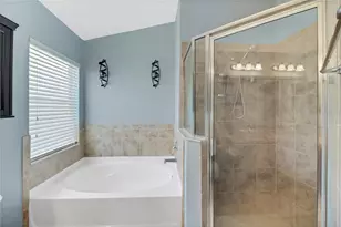 31113 Stone Arch Ave, Wesley Chapel, FL 33545 - Photo 25
