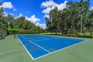 24353 Calusa Blvd, Eustis, FL 32736 - Photo 29