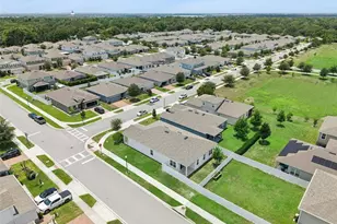455 Winter Solstice Ln, Mount Dora, FL 32757 - Photo 41