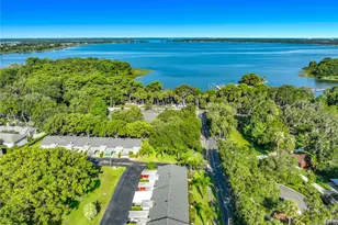 450 Liberty Ave, Mount Dora, FL 32757 - Photo 3