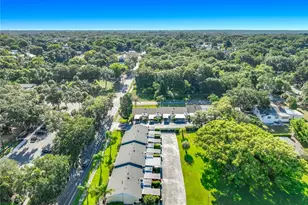 450 Liberty Ave, Mount Dora, FL 32757 - Photo 37