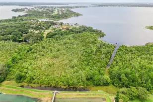 1235 Dora Parc Ln, Mount Dora, FL 32757 - Photo 33