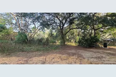 17205 SE 252nd Avenue, Umatilla, FL 32784 - Photo 1