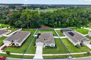 5710 Alenlon Way, Mount Dora, FL 32757 - Photo 53