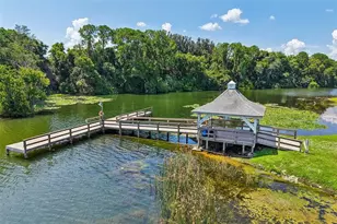 1433 Apache Cir, Tavares, FL 32778 - Photo 45