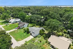 4160 Wood Dr, Mount Dora, FL 32757 - Photo 45