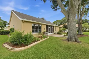 7029 Pine Hollow Dr, Mount Dora, FL 32757 - Photo 51