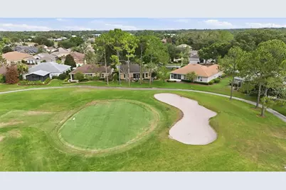 7029 Pine Hollow Drive, Mount Dora, FL 32757 - Photo 53