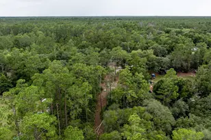 24821 Old Deer Rd, Paisley, FL 32767 - Photo 39