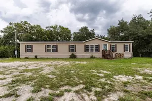 24821 Old Deer Rd, Paisley, FL 32767 - Photo 1