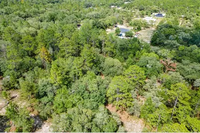 Sw Shasta Court, Dunnellon, FL 34431 - Photo 7