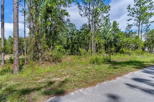 SW Viola Ct, Dunnellon, FL 34431 - Photo 1