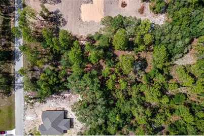 Sw Viola Court, Dunnellon, FL 34431 - Photo 3