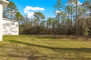 8311 SW 136th Terrace, Dunnellon, FL 34432 - Photo 43