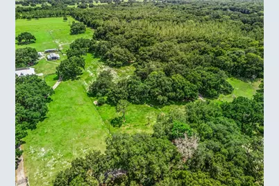 0000 Cr 738 Unassigned, Webster, FL 33597 - Photo 7
