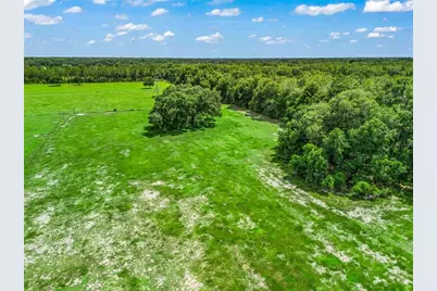 0000 Cr 738 Unassigned, Webster, FL 33597 - Photo 15