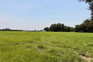 Parcel 6 Cr 708, Center Hill, FL 33514 - Photo 1