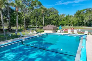 1925 Brookside Dr, Mount Dora, FL 32757 - Photo 55
