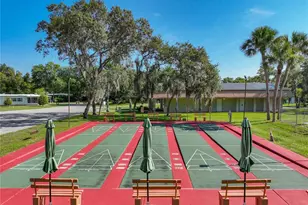 1925 Brookside Dr, Mount Dora, FL 32757 - Photo 57