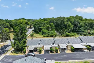 445 S Grandview St, Mount Dora, FL 32757 - Photo 5