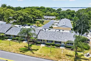 445 S Grandview St, Mount Dora, FL 32757 - Photo 7