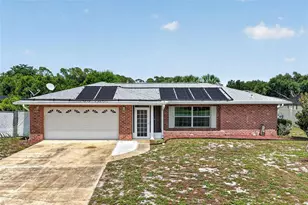 660 Oleander St, Mount Dora, FL 32757 - Photo 49