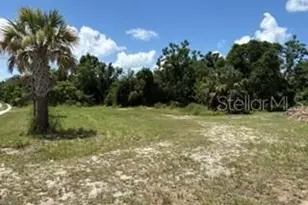 801 S Dixie Ave, Fruitland Park, FL 34731 - Photo 1