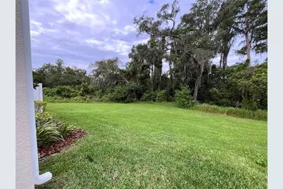 6712 Rocky Park Street, Tampa, FL 33625 - Photo 7