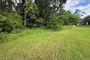 6712 Rocky Park St, Tampa, FL 33625 - Photo 21
