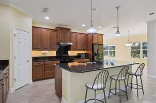 1041 Harmony Ln, Clermont, FL 34711 - Photo 13