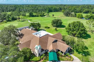 8031 Arcadian Ct, Mount Dora, FL 32757 - Photo 41