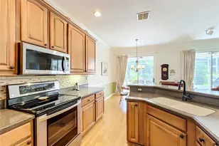 8031 Arcadian Ct, Mount Dora, FL 32757 - Photo 13