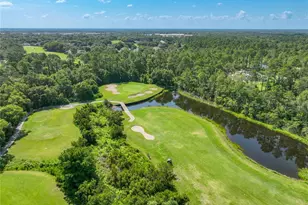 8031 Arcadian Ct, Mount Dora, FL 32757 - Photo 61