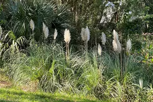 25517 Laurel Valley Rd, Leesburg, FL 34748 - Photo 55